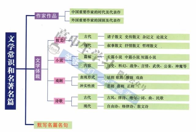 三肖三期必出特肖资料,数据导向实施策略_T21.337