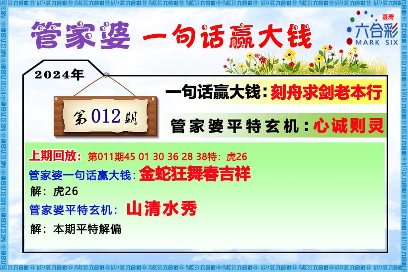 新澳门管家婆一肖一码,高效性实施计划解析_MP28.507