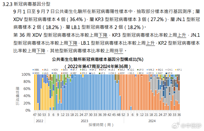 2024澳门天天六开彩免费,实地数据分析方案_SHD29.455