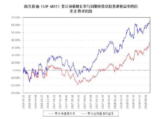 石油基金最新动态揭秘，市场趋势、投资策略与风险控制全解析