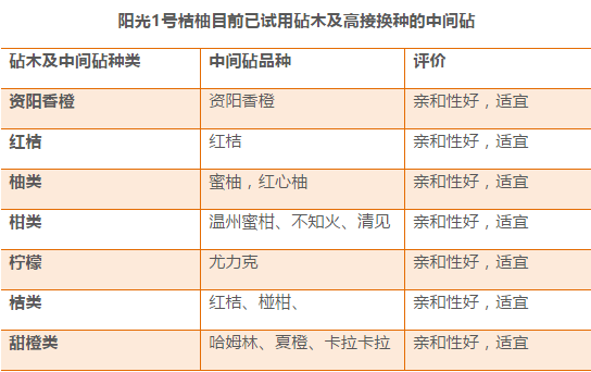 新澳2023年精准资料大全,收益解析说明_豪华款22.72