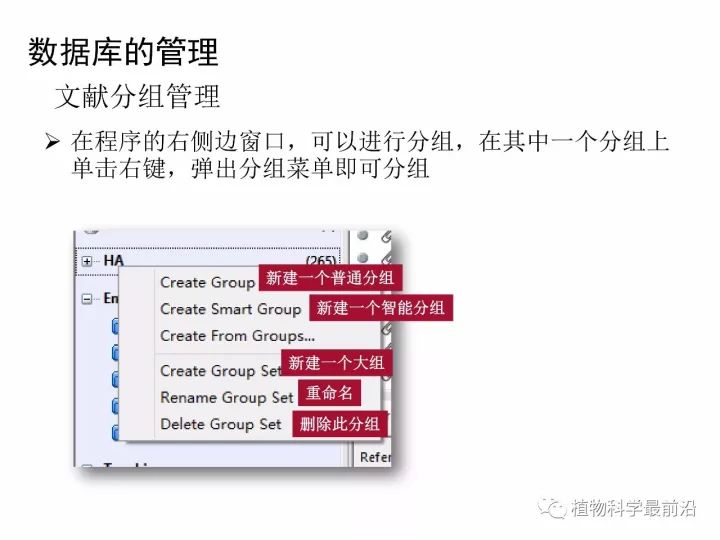 新澳精准资料,具体操作步骤指导_薄荷版94.748